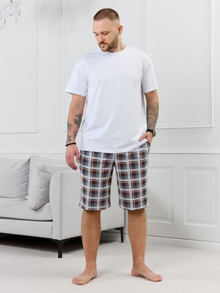 Шорты мужские Тор-2.1 Виотекс КЛЕТКА РАЗНОЦВЕТНАЯ