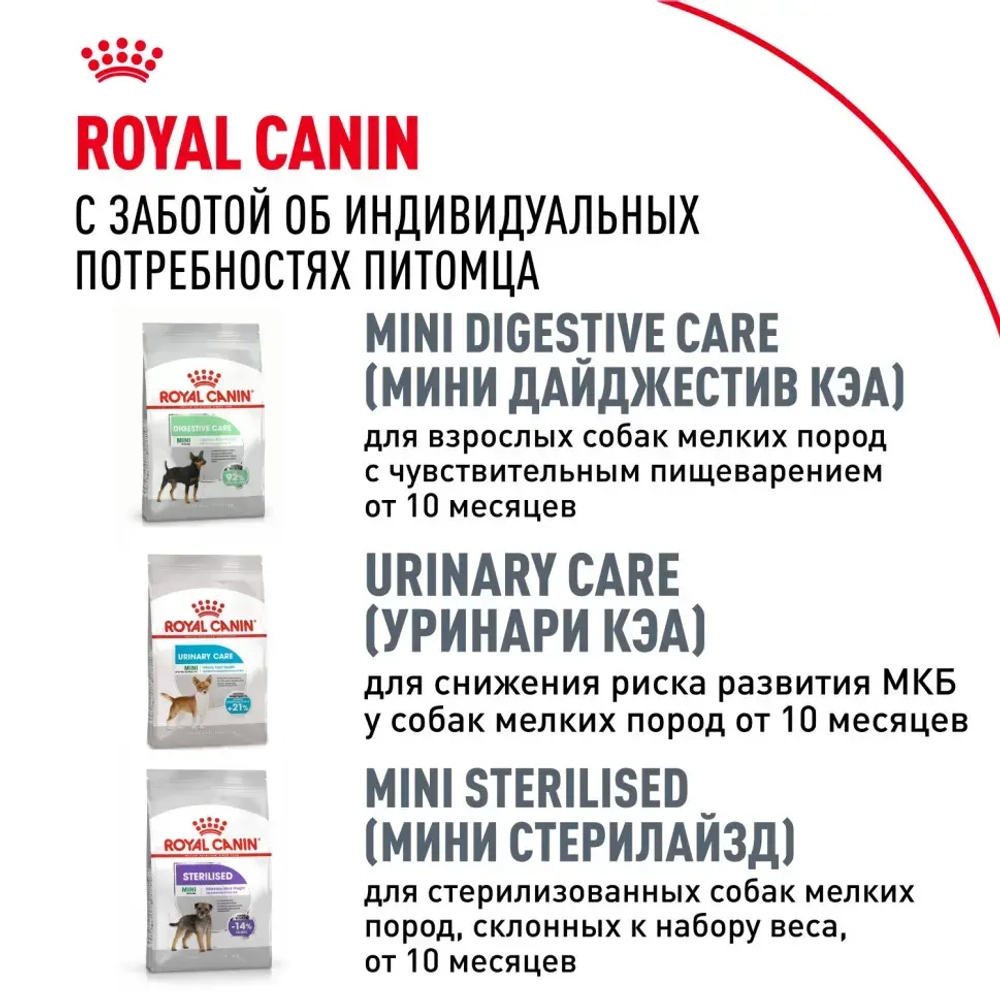 Royal canin chihuahua adult сухой корм для собак породы чихуахуа в возрасте 8 месяцев - 1,5 кг