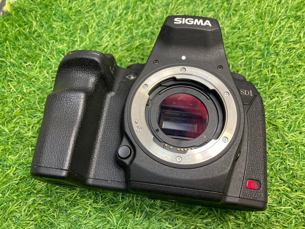 Sigma SD1