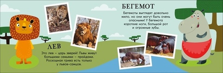 Зоопарк. Поезд знаний. Книга + Игра