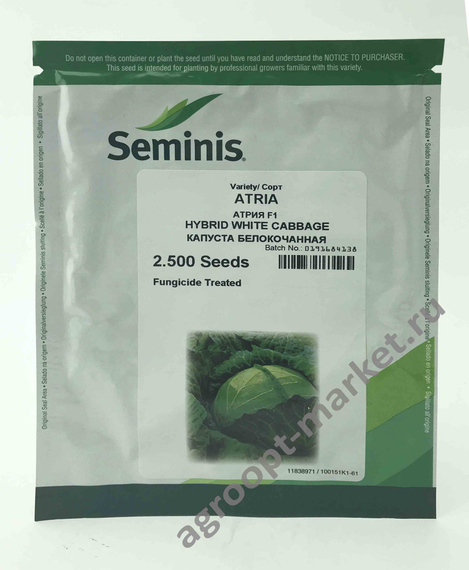 АТРИЯ F1 семена капусты белокочанной (Seminis | Alexagro) – фото 2