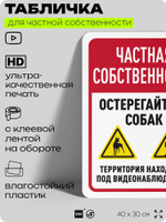 Табличка для частной территории "Частная собственность, остерегайтесь собак", на дом, для участка, организаций, предупреждающая, 40х30 см, Silver Plane x Айдентика Технолоджи