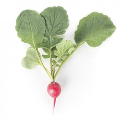 Редис Рондеел (10гр) Витагрин Профи