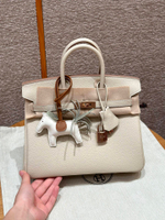 Hermes Birkin 25
