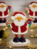 Дед Мороз №12