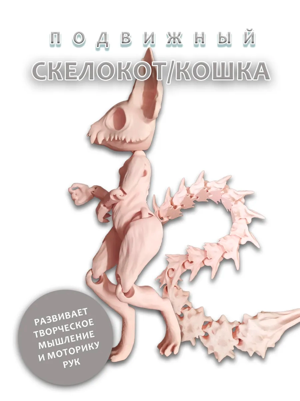 Скелет Кошки