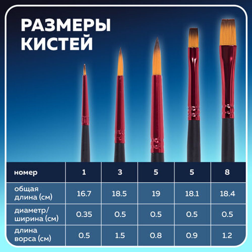 Кисти BRAUBERG PREMIUM, набор 5 шт. (синтетика, круглая № 1, 3, 5, плоская № 5, 8), блистер, 201024