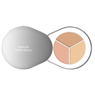 [Dear.A] Консилер для лица Perfect Cover Concealer Palette (Light Beige/Natural Beige/Dark Beige) (01) 1,3 гр *3 шт