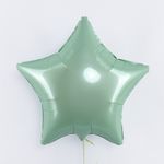 F Шар Звезда 18''/46 см, Мятный Макарунс (БГ-15)