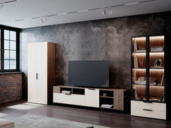 Гостиная Харди 2 Дуб Делано Темный / Белый