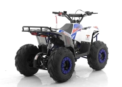 Квадроцикл MOTAX GRIZLIK A110