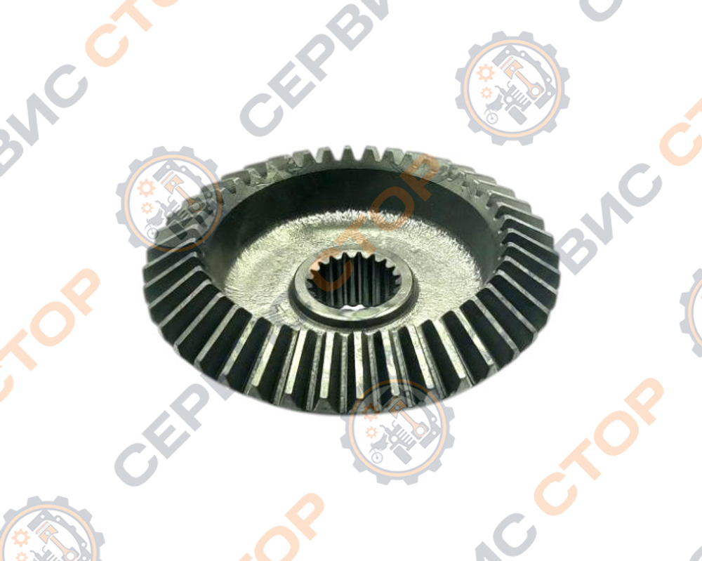 Z-4219-ZY254-RT-4