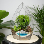 Готовый флорариум бонсай Мирсина Айсберг с озером