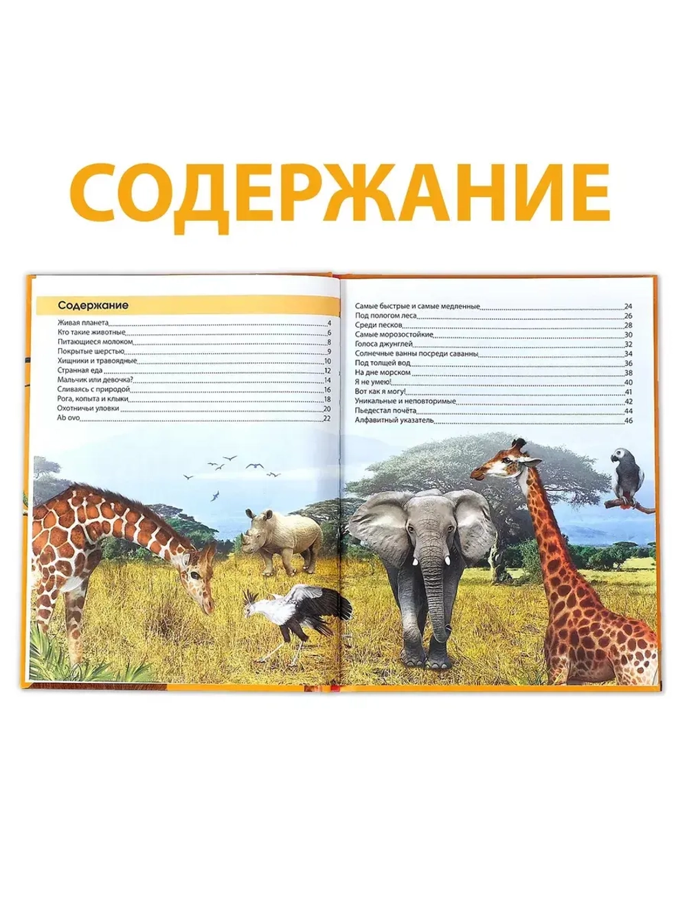 Энциклопедия 200 фактов о животных