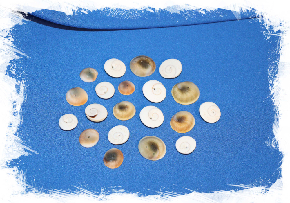 Оперкулум с отверстием для украшений