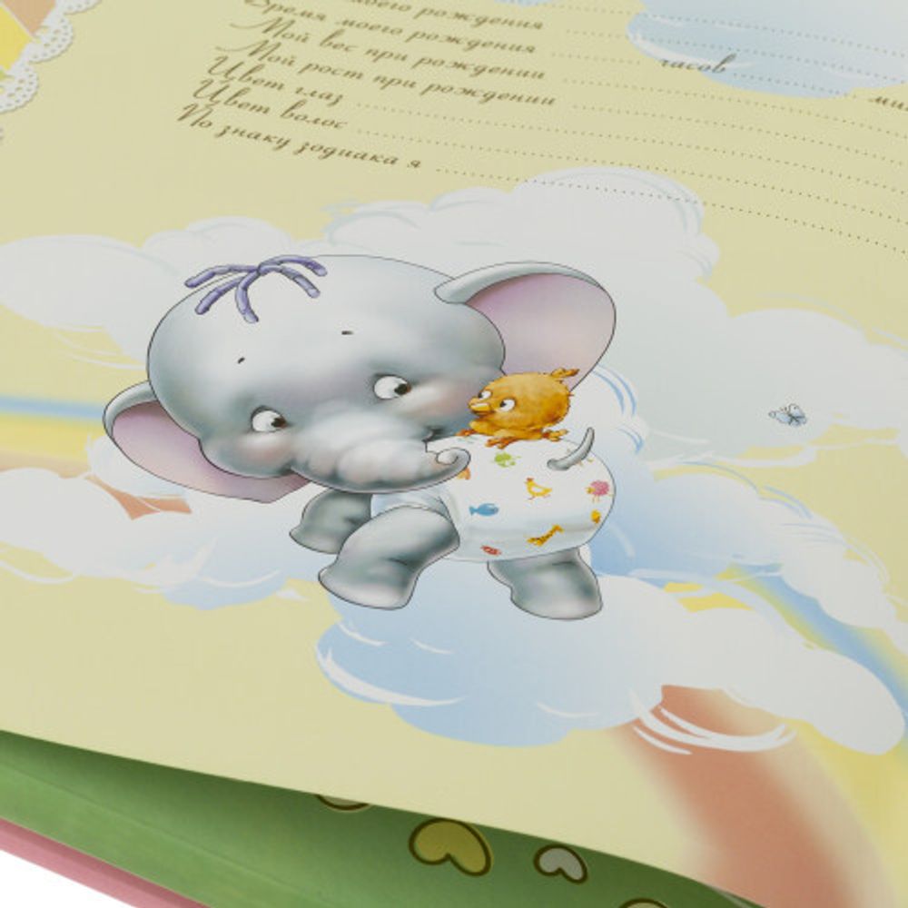 PB11/B016 Image Art «мой первый год жизни» , 11 магнитных листов 30*31