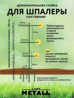 Шпалера садовая для малины и ежевики