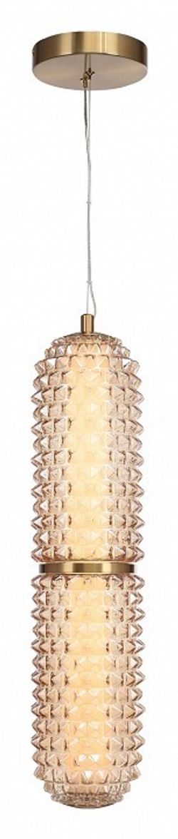 Подвесной светильник ST-Luce SAGUARO SL6144.303.01