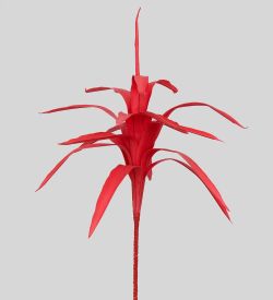 TRN 122 Кордилина