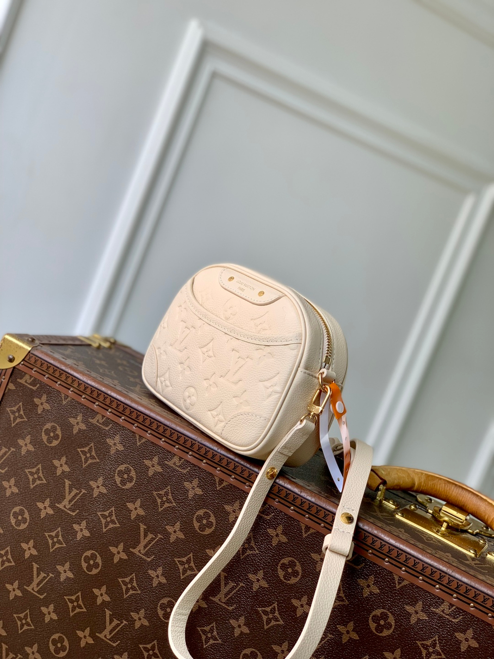 Louis Vuitton Tiny Camera Bag