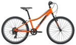 Подростковый велосипед Giant XTC Jr 24 Lite (2021)