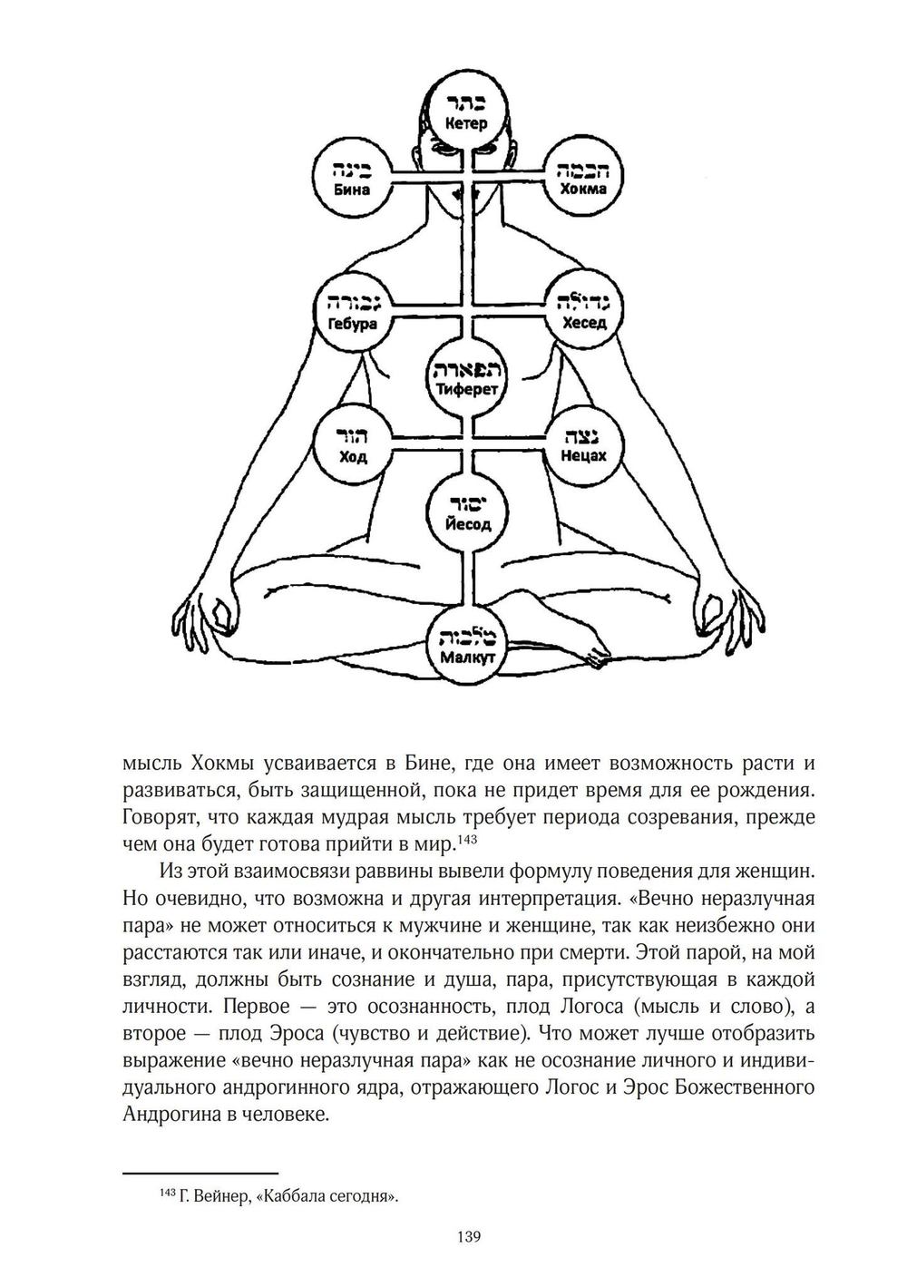 Андрогины (PDF)