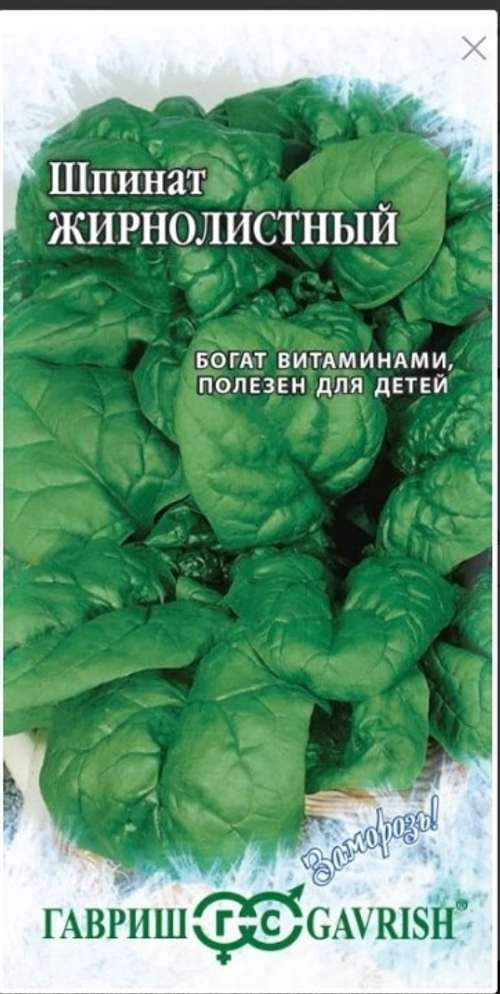 Шпинат Жирнолистный
