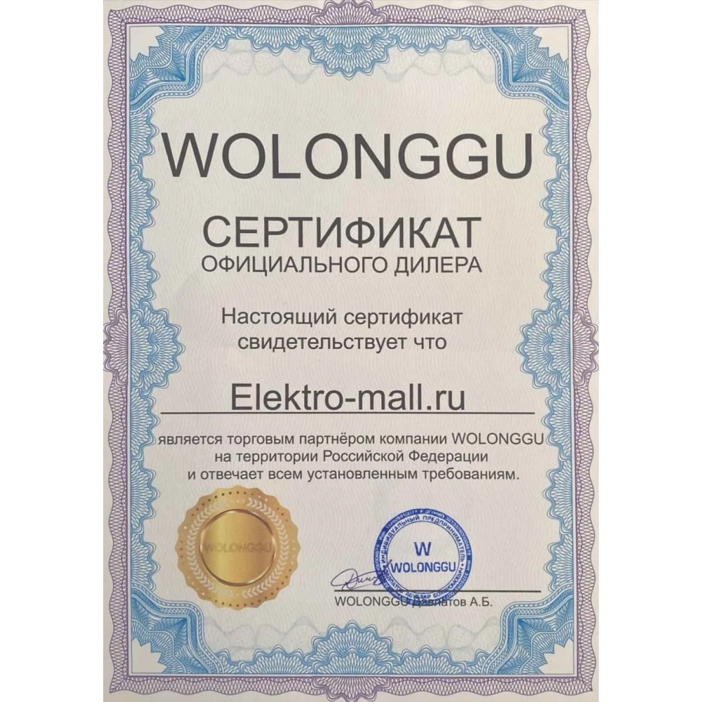 Электроскутер CityCoco Wolong X11 Trike