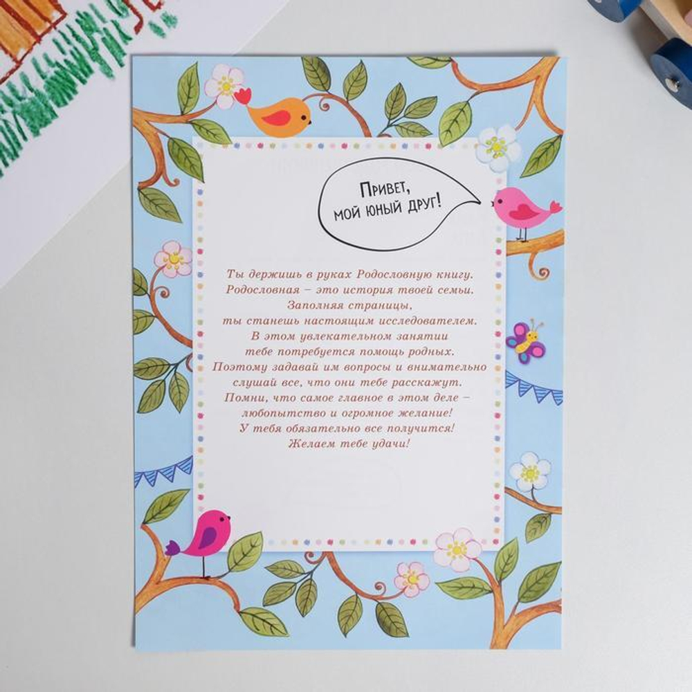 6116416 Детская родословная папка «Дерево», 16 листов, 24,5 х 32 см