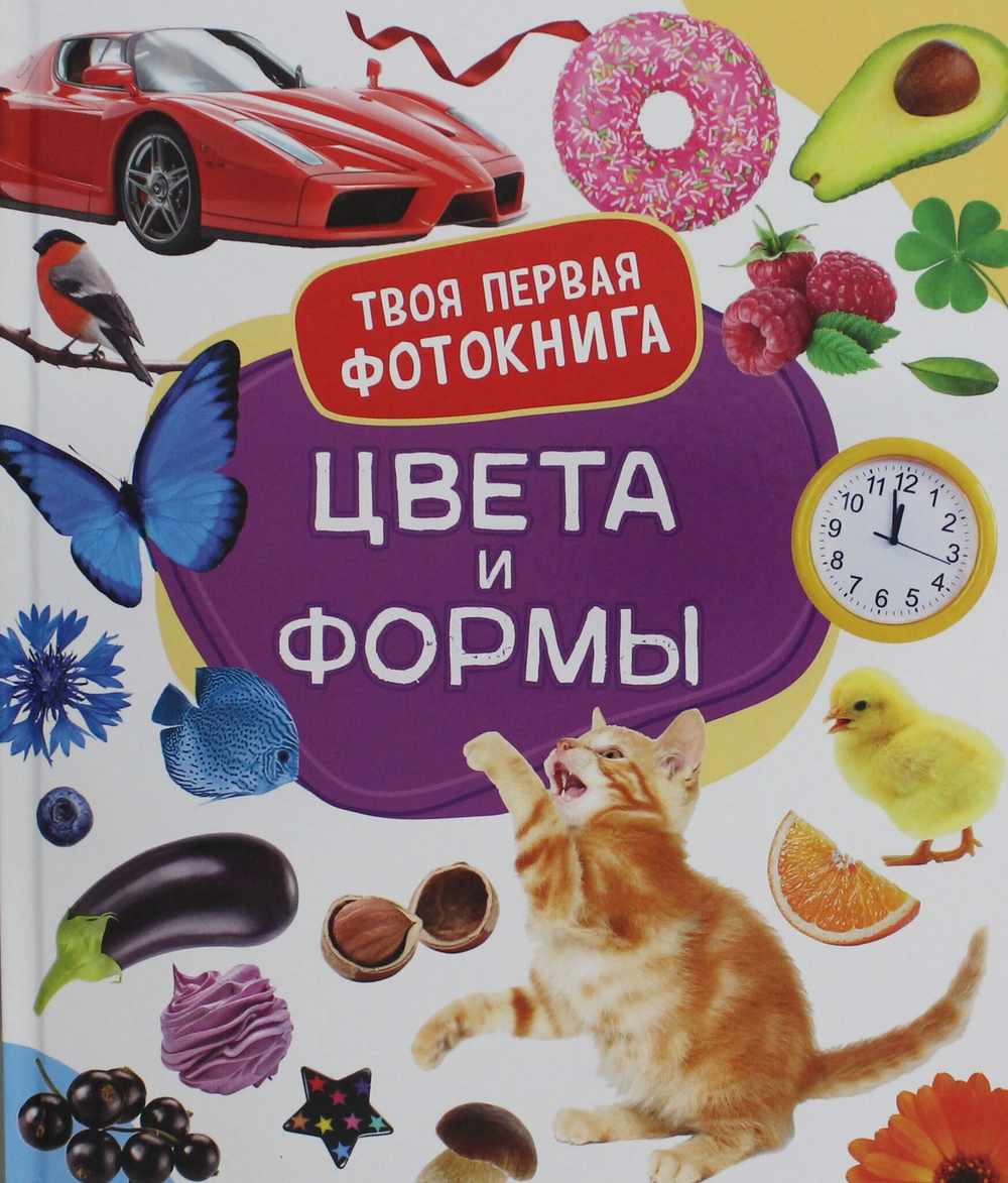 Котятова Н. И. Цвета и формы. Твоя первая фотокнига