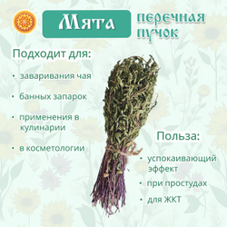 Мята перечная пучок.