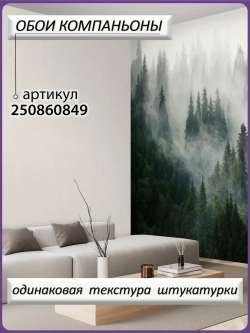 3D Фотообои туманный лес в горах
