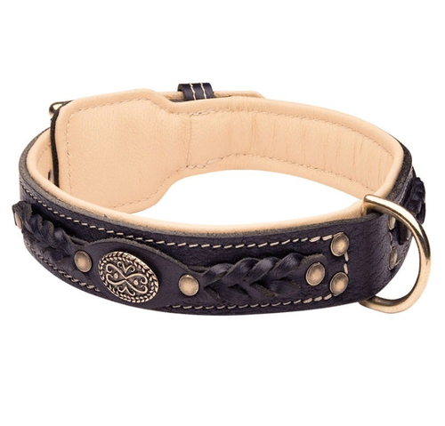 Декоративный ошейник из кожи для собак "WIN A WALK"  черный Латунь арт C43 62,5см