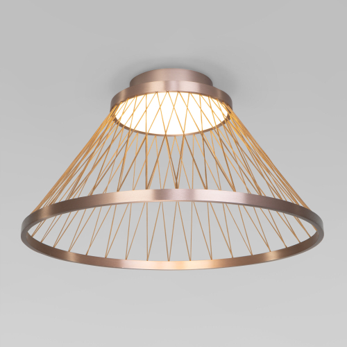 Потолочный светодиодный светильник Eurosvet Cesta 40019/1