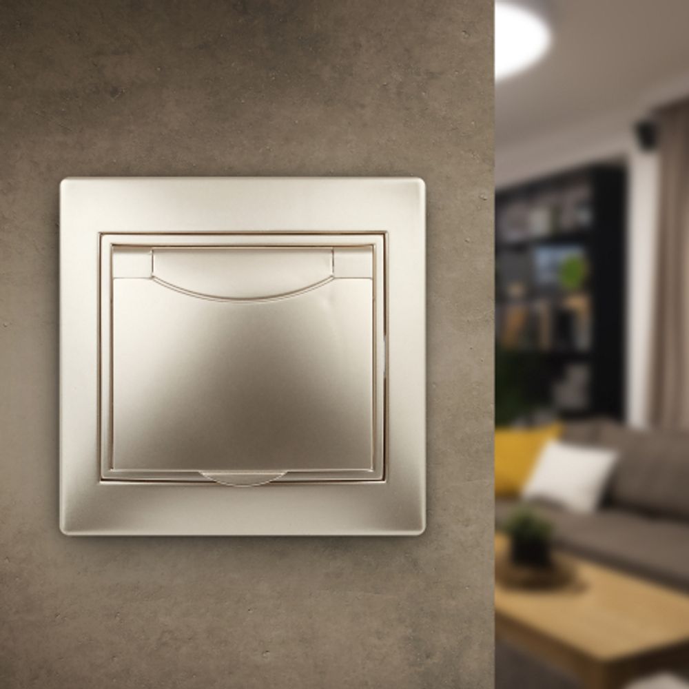 1-203-04 Intro Розетка 2P+E Schuko с крышкой, 16А-250В, IP20, СУ, Plano, шампань