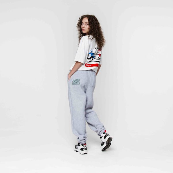 Спортивные штаны Dissident Sportive Goods серые - фото 10