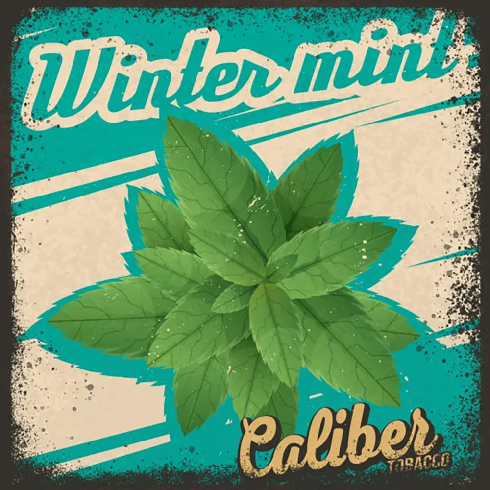 Caliber Winter Mint (Мята) 150 гр.