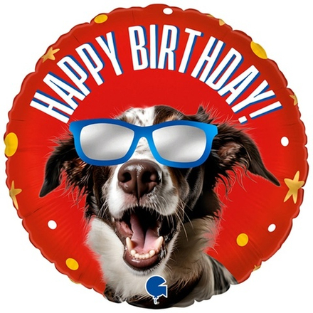 Фольгированный шар «Happy Birthday. Песик в очках», 46 см