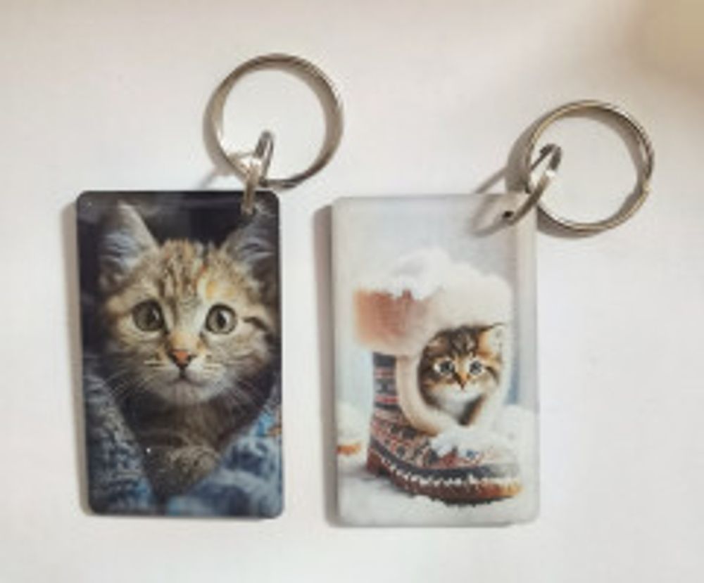 Миникарта RFID прокси кот глаза 3*5  14427