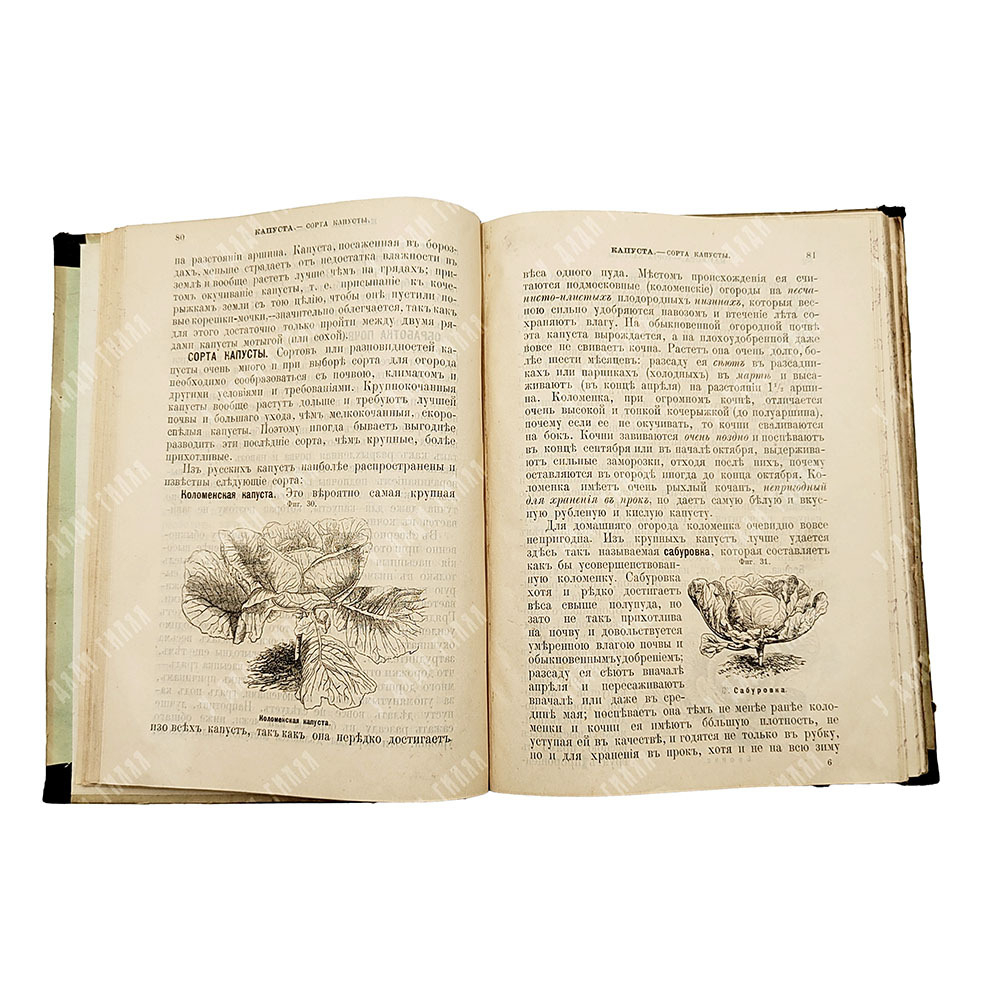 Сабанеев Л. П. Домашний огород. Руководство к разведению овощей. С 68 рисунками. В 3 ч. Ч. 1-3. 1894