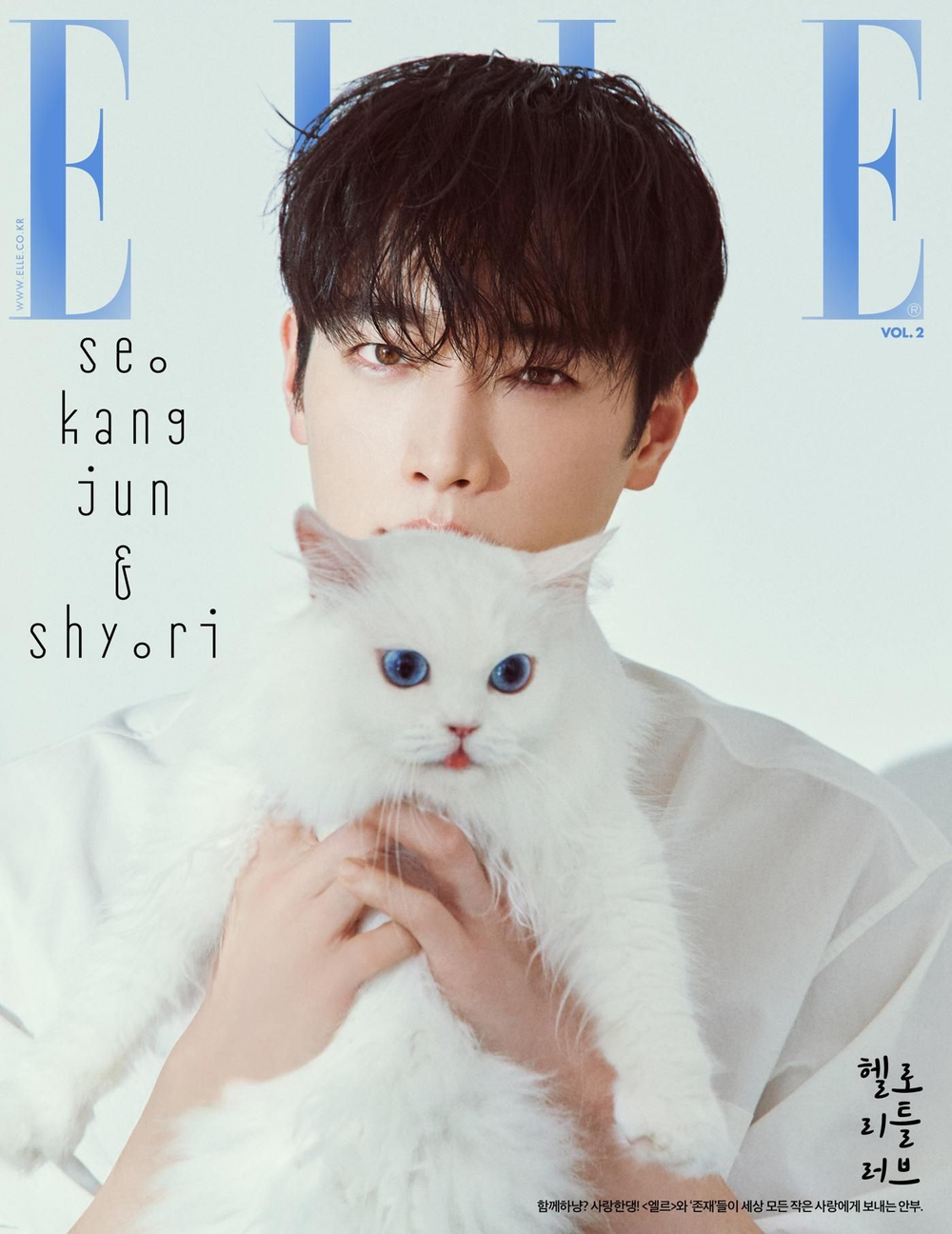публикация ELLE - 2025.11 VOL. 2 SEO KANG JUN J Type