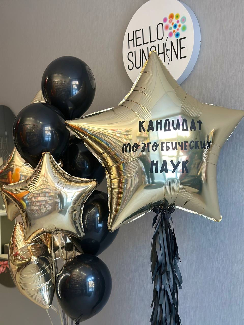 Набор шаров на 23 февраля №17