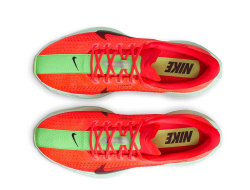 Кроссовки для бега мужские Nike Pegasus Plus M Красно-Зеленые