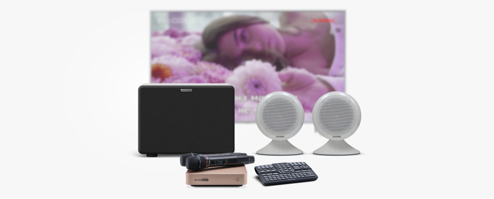 Evolution EvoBox Plus с микрофонами и стереосистемой