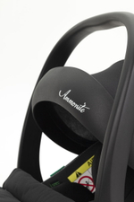 Коляска Carrello Vector CRL-6550 Ammonite AY329 Pro Absolute Black с базой Isofix 3 в 1 Landscape Grey