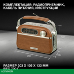 Радиоприемник Hyundai H-PSR200 дерево коричневое/серебристый