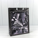 Пакет подарочный 42х32х10см Мужской (Микс)