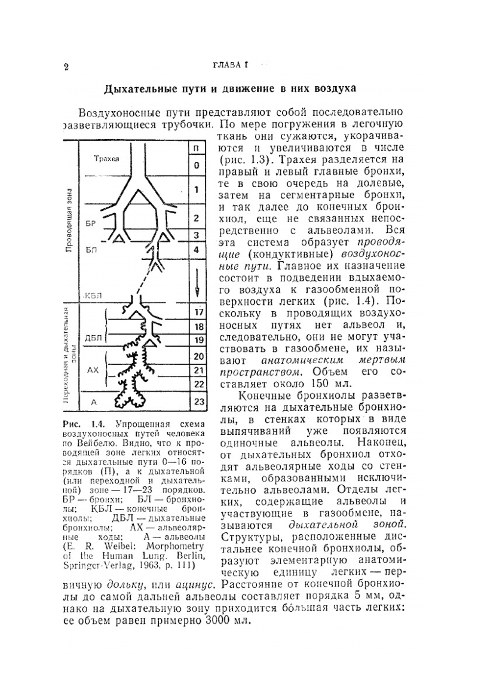 Физиология дыхания. Основы | Д. Уэст