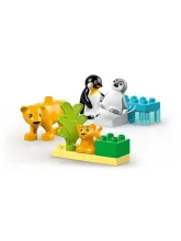 Конструктор DUPLO 10442 Пингвины и львы