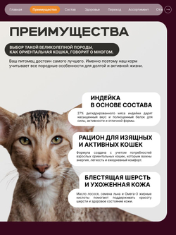Корм сухой для кошек породы Ориентальная кошка, с индейкой, 2 кг, QUATTRO